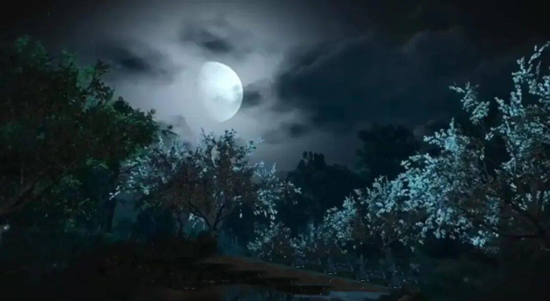 张秋宪：那个有惊无险的夜晚